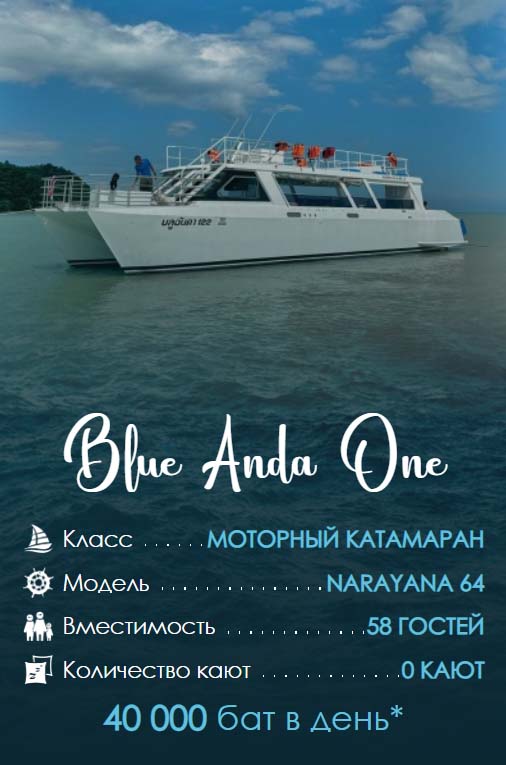 46. Blue Anda One